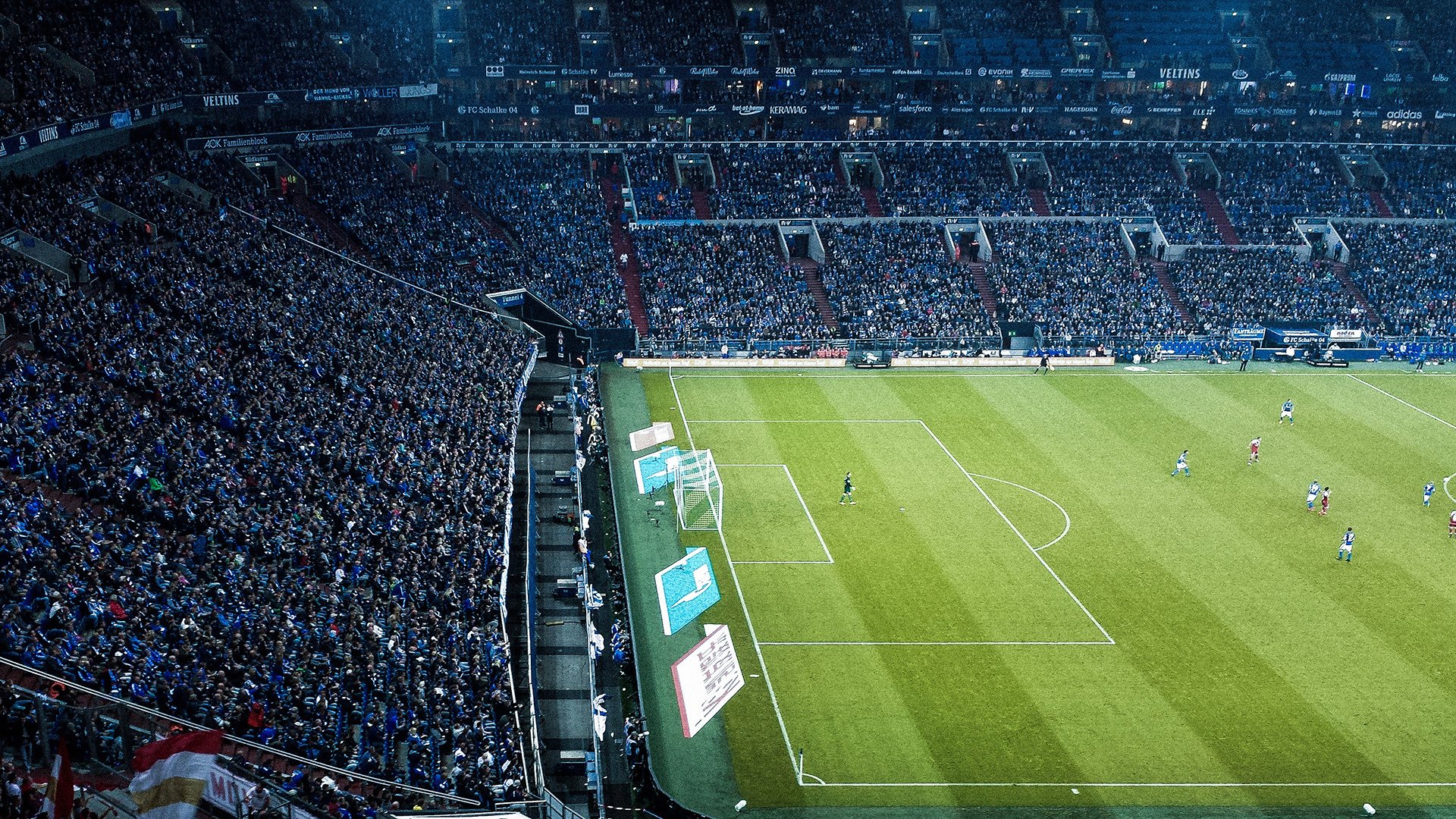 CNN头条:冬奥最具冲击力球队——来自西非的雄狮,冬奥会非洲选手